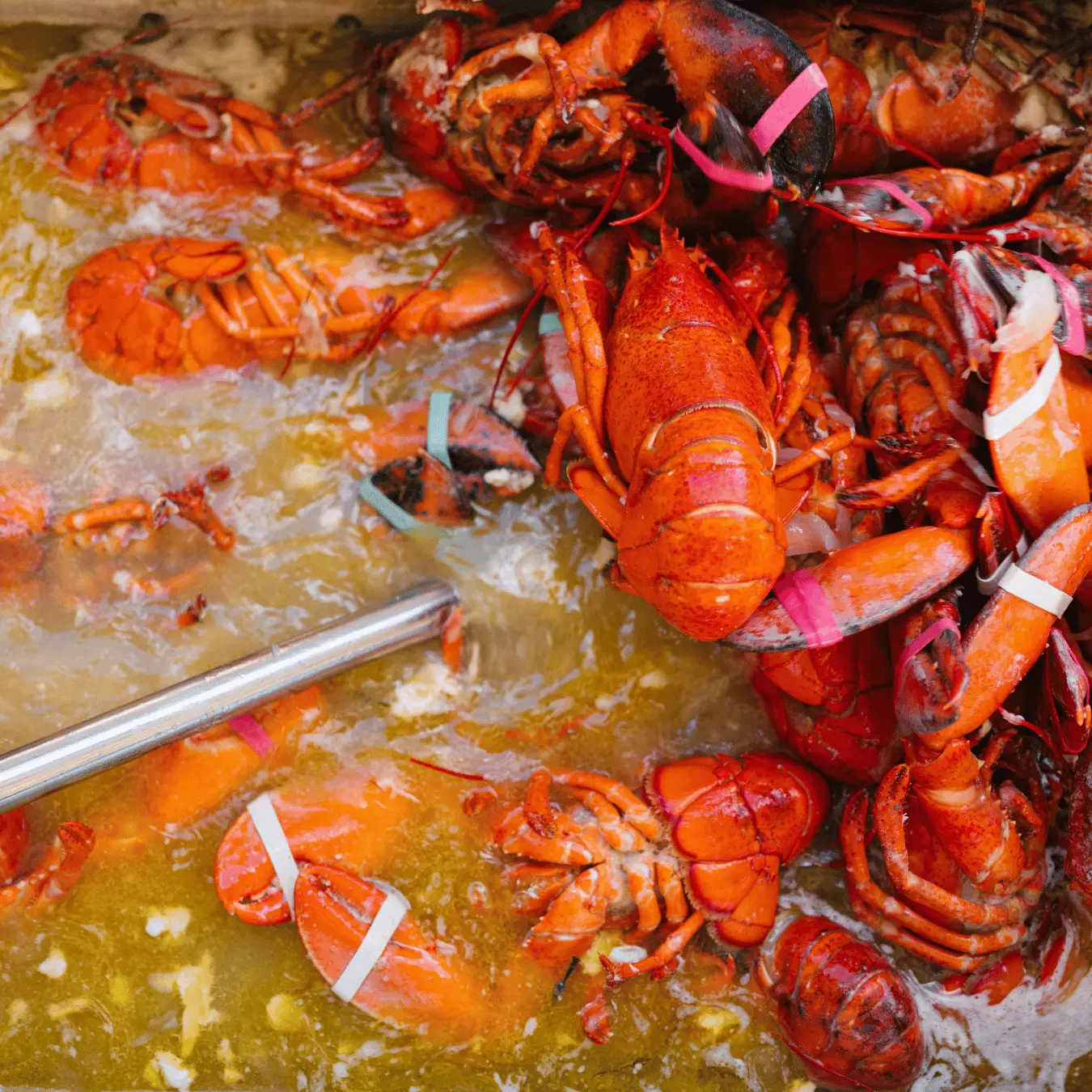 lobster-boil